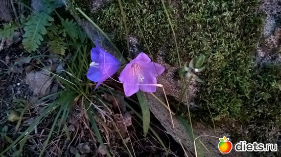 39 ����: �������� � ����������