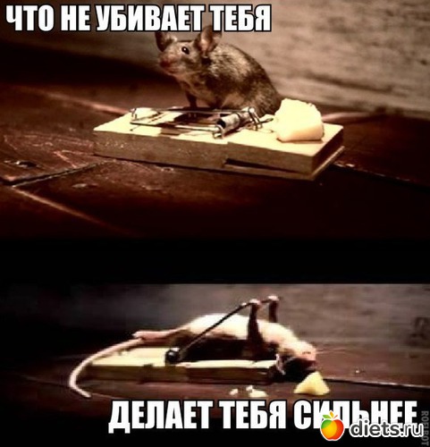 8 ����: ���������