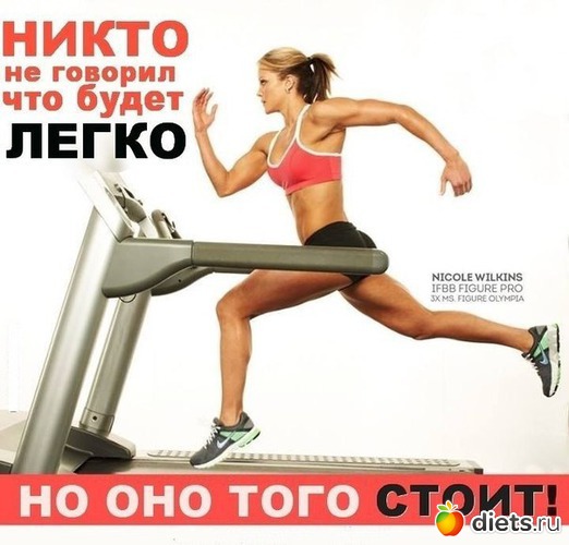 10 ����: ���������