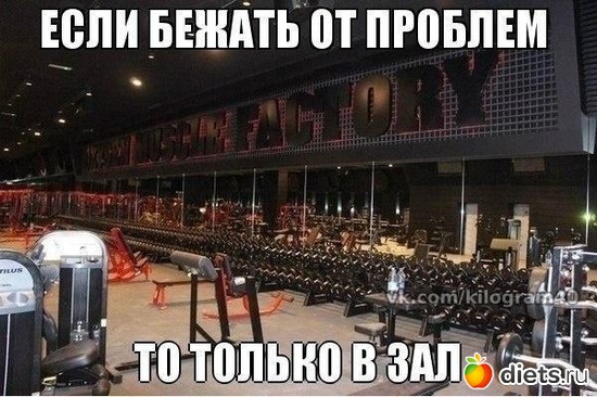 12 ����: ���������