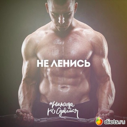 13 ����: ���������