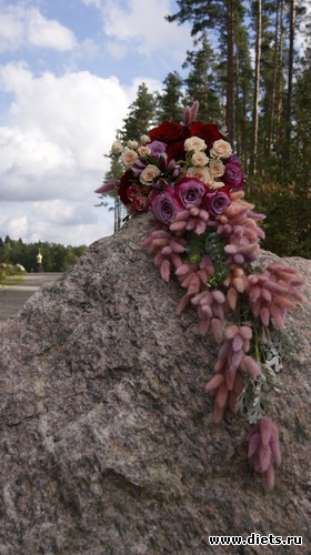 26 ����: �������� � ����������