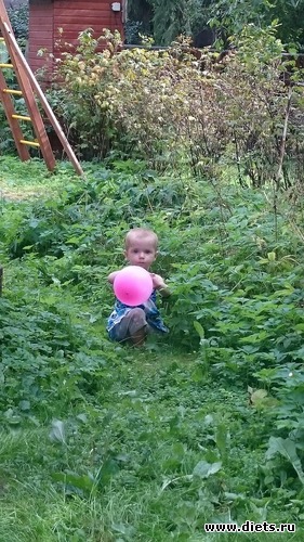 2 ����: ������, ��� 2-�