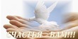 10 золотых правил притяжения любви.