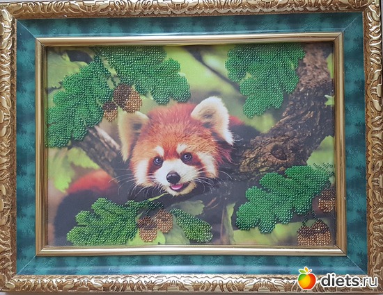 5 фото: Просто для души