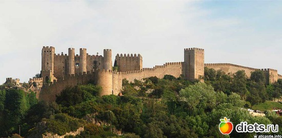 384 ����: ������� ���� 2016