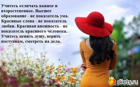 1 ����: ��������