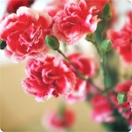 Добрый вечер всем!!