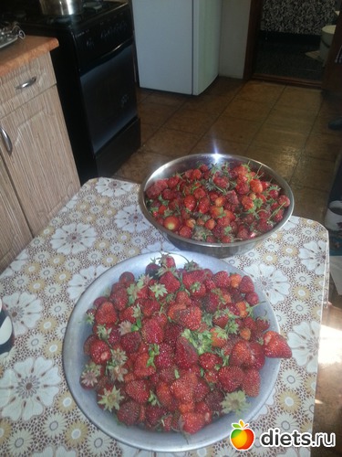 9 ����: ���������