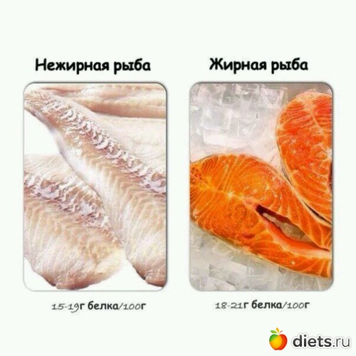 32 фото: Схемы по питанию+ккал