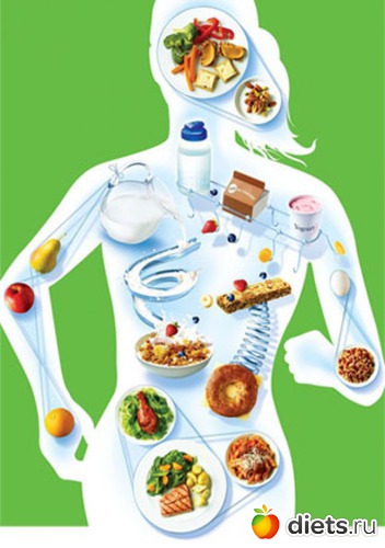 20 фото: Питание