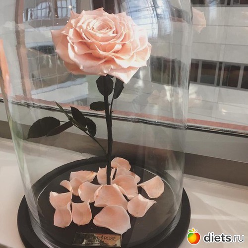 1 ����: ���������