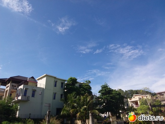 6.04.17, ������: ������, ������� � ����.