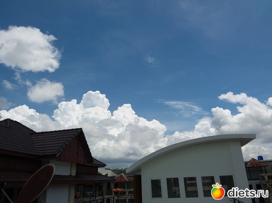 23 ����: ������, ������� � ����.