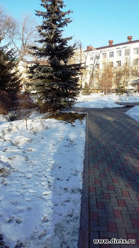 33 ����: ��������...