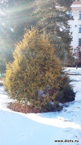 46 ����: ��������...