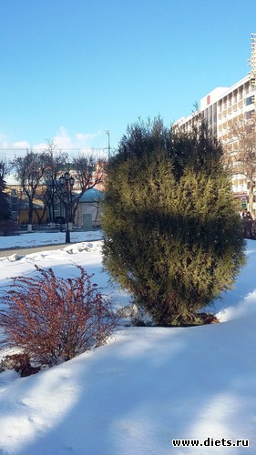 48 ����: ��������...