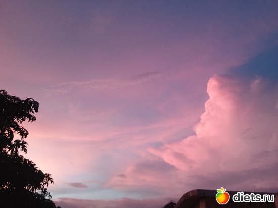 26 ����: ������, ������� � ����.