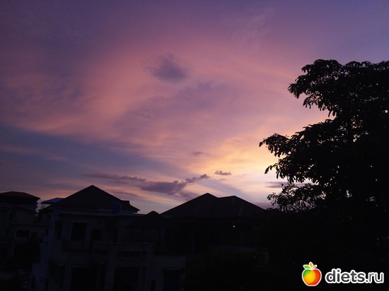 25 ����: ������, ������� � ����.