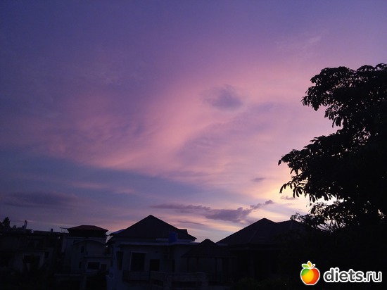 27 ����: ������, ������� � ����.