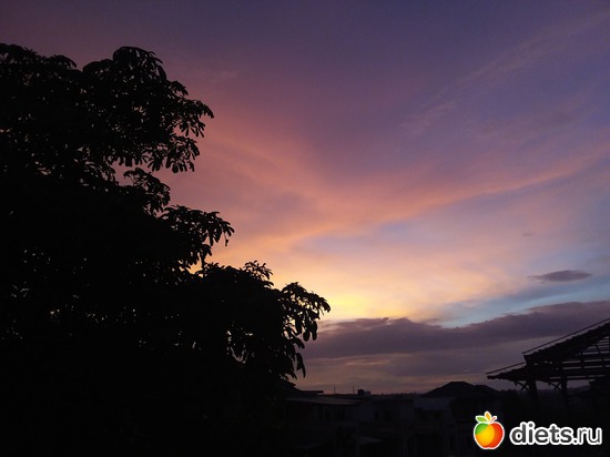 28 ����: ������, ������� � ����.