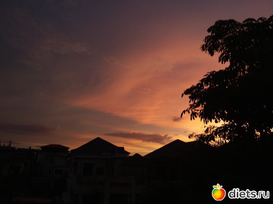 29 ����: ������, ������� � ����.