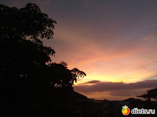 31 ����: ������, ������� � ����.