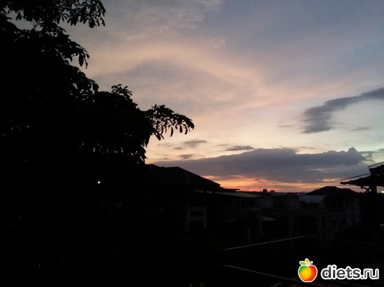 32 ����: ������, ������� � ����.