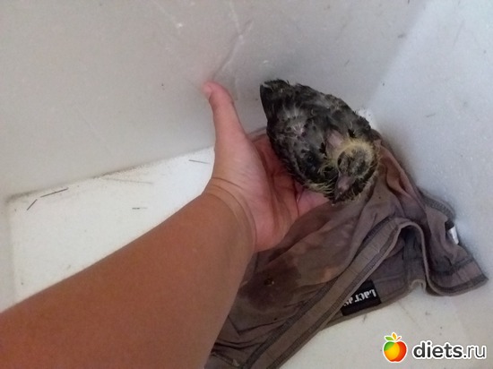 30 ����: ��� ��������