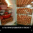 Забег по системе "Минус 60". Отчёт по питанию за 15.04.2017