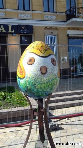 17 ����: ����