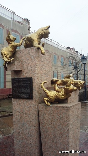 49 ����: ��������...