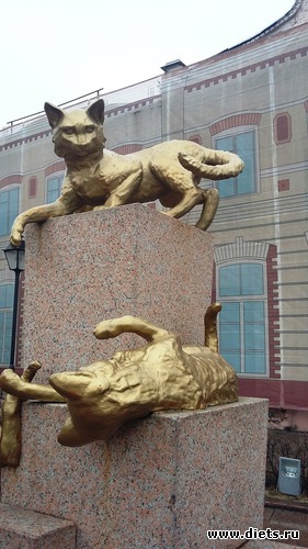 51 ����: ��������...