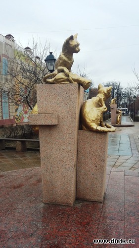 52 ����: ��������...