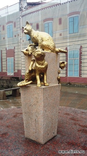 54 ����: ��������...