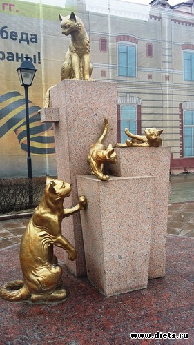 55 ����: ��������...