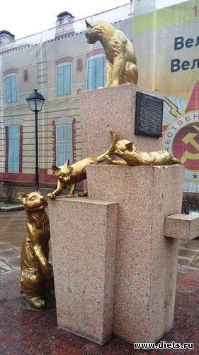 56 ����: ��������...