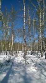 ����� � ����� ������)