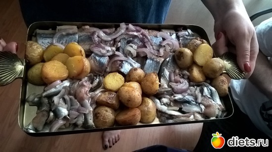 23 ����: ����� 2017