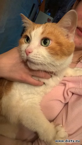 26 ����: ����� 2017