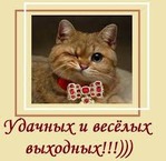 Забег по системе "Минус 60". Отчет по питанию 22.04.2017.