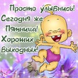 ����� �� ������� "����� 60". ����� �� ������� �� 28.04.2017