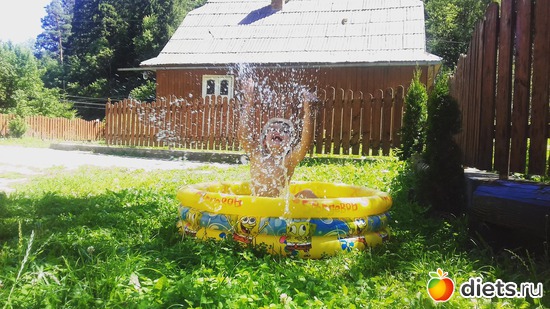 12 ����: ����� ����