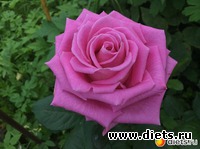 Никогда не унывайте!!!