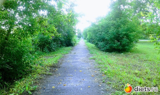 2017 �., ������: �������� ���������.