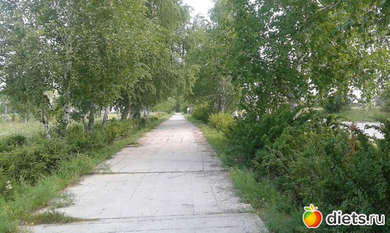 ��� ����������� �������. ���� 2017., ������: �������� ���������.