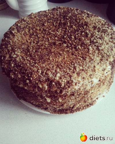 24 ����: ��������