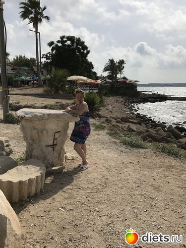 5 ����: ���� 2017