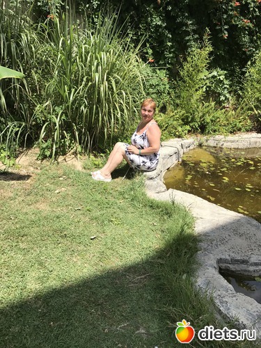 2 ����: ���� 2017