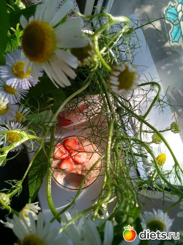 13 ����: ��������